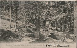 Scene in Picturesque Mineral Springs Park Postcard