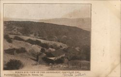 Bird's Eye View of the Leonhardt Oakville, CA Postcard Postcard Postcard