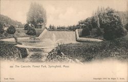 The Cascade Forest Park Springfield, MA Postcard Postcard Postcard