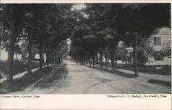 Chestnut Street Postcard