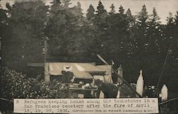 Refugees Keeping House Among the Tombstones in a Cemetery after the Fire Postcard