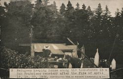 Refugees Keeping House Among the Tombstones in a Cemetery after the Fire San Francisco, CA Postcard Postcard Postcard