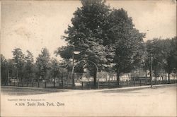 Savin Rock Park West Haven, CT Postcard Postcard Postcard