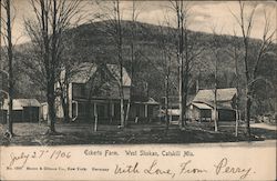 Eckerts Farm, Catskill Mts. Postcard