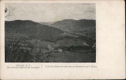 Little Delaware from Sherwood's Hill Postcard