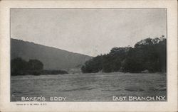 Baker's Eddy East Branch, NY Postcard Postcard Postcard