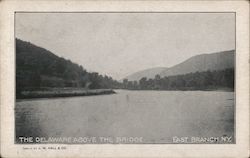 The Delaware above the Bridge East Branch, NY Postcard Postcard Postcard