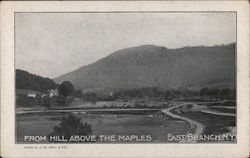 From Hill above the Maples Postcard