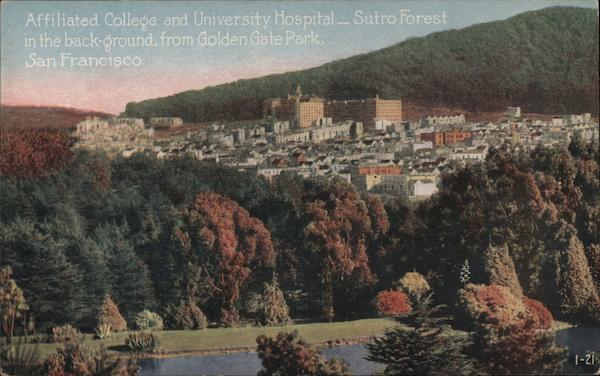 Affiliated College and University Hospital, Sutro Forest in the Background, from Golden Gate Park San Francisco