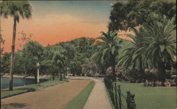 A Lake Drive Orlando Florida