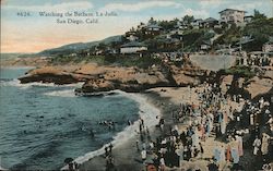 Watching The Bathers, La Jolla Postcard