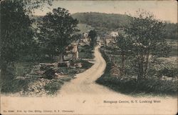 Mongaup Centre, Looking West Postcard