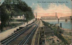 River Road Looking North Postcard