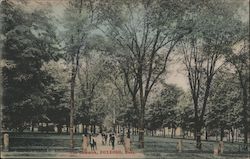 The Common Foxboro, MA Postcard Postcard Postcard