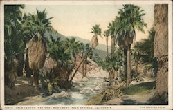 Palm Canyon National Monument Palm Springs, CA Postcard Postcard Postcard