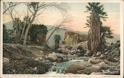 Palm Canyon National Monument Postcard