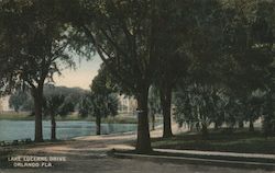 Lake Lucerne Drive Postcard