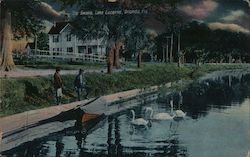 The Swans Lake Lucerne Postcard