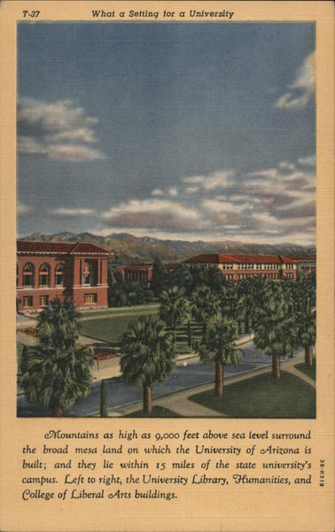 What a Setting for a University! Tucson Arizona