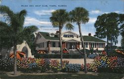 Palma Ceia Golf Club Tampa, FL Postcard Postcard Postcard