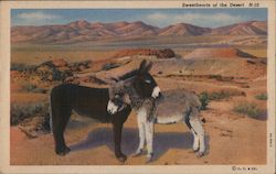 Sweethearts of the Desert Postcard