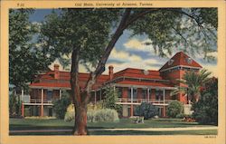 Old Main, University of Arizona Postcard