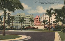 Some of the City's Magnificent Hotels Postcard