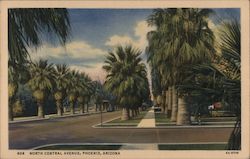North Central Avenue Postcard