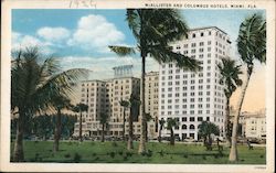 McAllister and Columbus Hotels Postcard