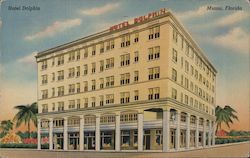Hotel Dolphin Postcard