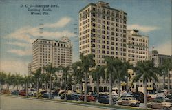 Biscayne Blvd., Looking South Postcard