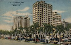 Biscayne Blvd., Looking South Miami, FL Postcard Postcard Postcard