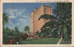 The Blackstone Miami Beach, FL Curt Teich Postcard Postcard Postcard