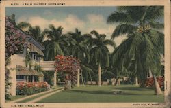 A Palm Shaded Florida Home Miami, FL Postcard Postcard Postcard