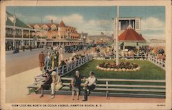 View Looking North on Ocean Avenue Hampton Beach, NH Postcard Postcard Postcard