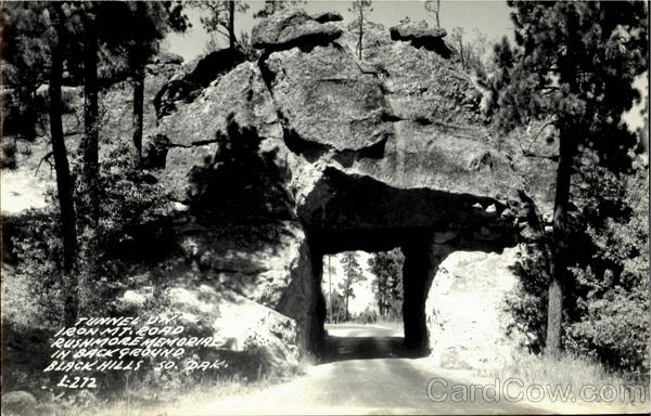 Tunnel On Iron Mt. Road Black Hills South Dakota