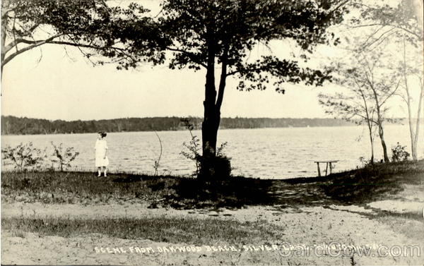 Scene From Oakwood Beach, Silver Lake Wautoma Wisconsin
