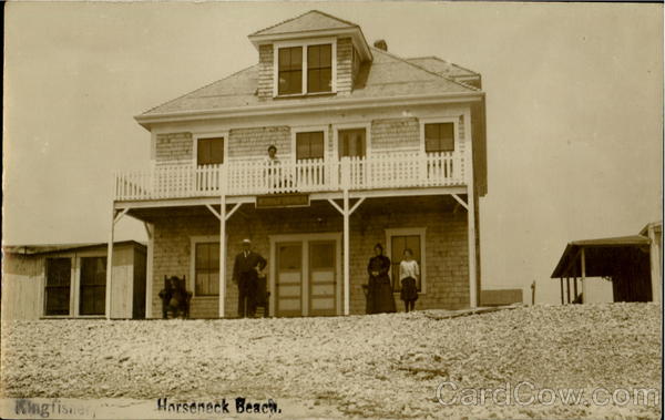 Kingifsher Horseneck Beach Massachusetts