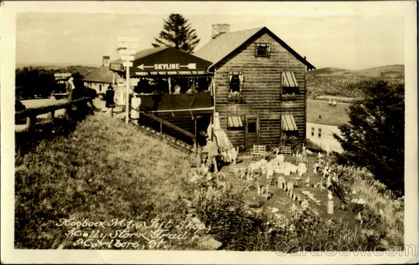 Hogbock Mt. Gift Shop Marlboro Vermont