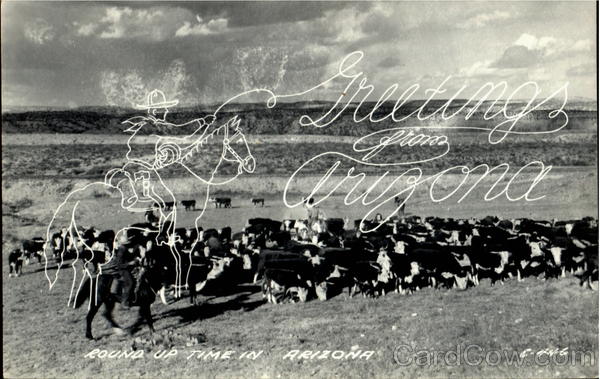 Greetings From Arizona