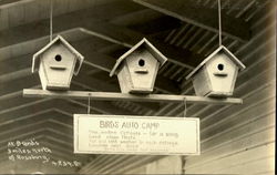 Birds Auto Camp - Birdhouses Postcard