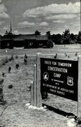 Conservation Camp Postcard