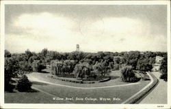 Willow Bowl, State College Postcard