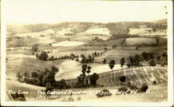 The Cove Postcard