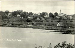 Round Pond Postcard