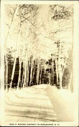 A Winter Highway In Shelburne Postcard