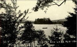 Bow Lake Postcard