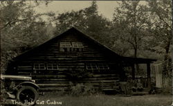 The Bob Cat Cabin - US Flag Postcard