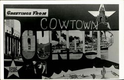 Greetings From Cowtown Postcard