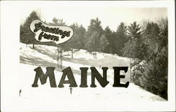 Greetings From Maine Postcard Postcard